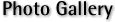 Photo Gallery
