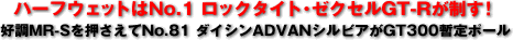 n[tEFbgNo.1 bN^CgE[NZGT-RI^DMR-SNo.81 _CVADVANVrAGT300b|[