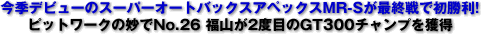 Gfr[̃X[p[I[gobNXAybNXMR-SŏIŏ!^sbg[N̖No.26 R2xڂGT300`vl