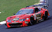 6 SUPRA