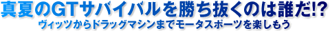 真夏のサバイバルを勝ち抜くのは誰だ!!