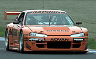 81 SILVIA