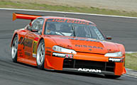 81 SILVIA