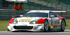 36 SUPRA